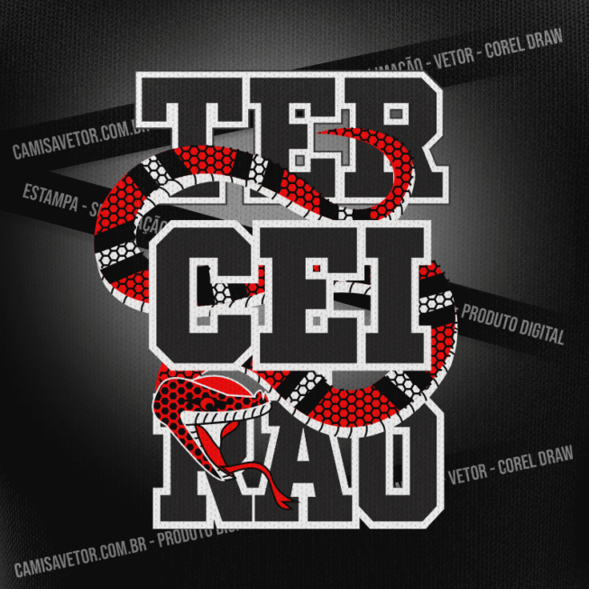 ESTAMPA TERCEIRÃO VETOR 31