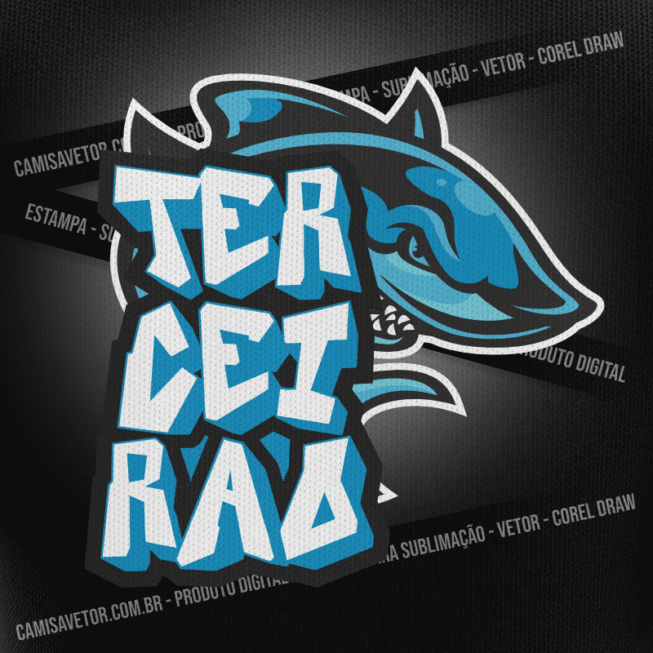 ESTAMPA TERCEIRÃO #60