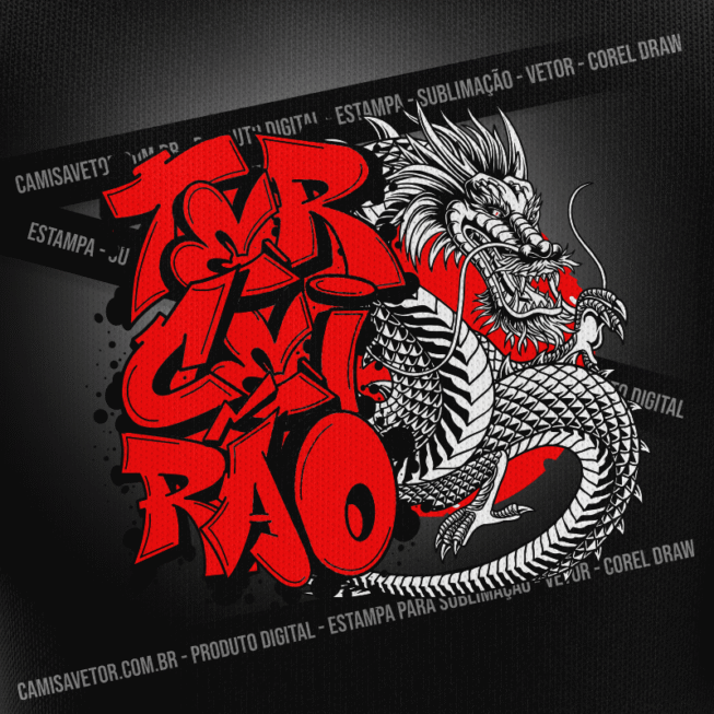 ESTAMPA TERCEIRÃO #70